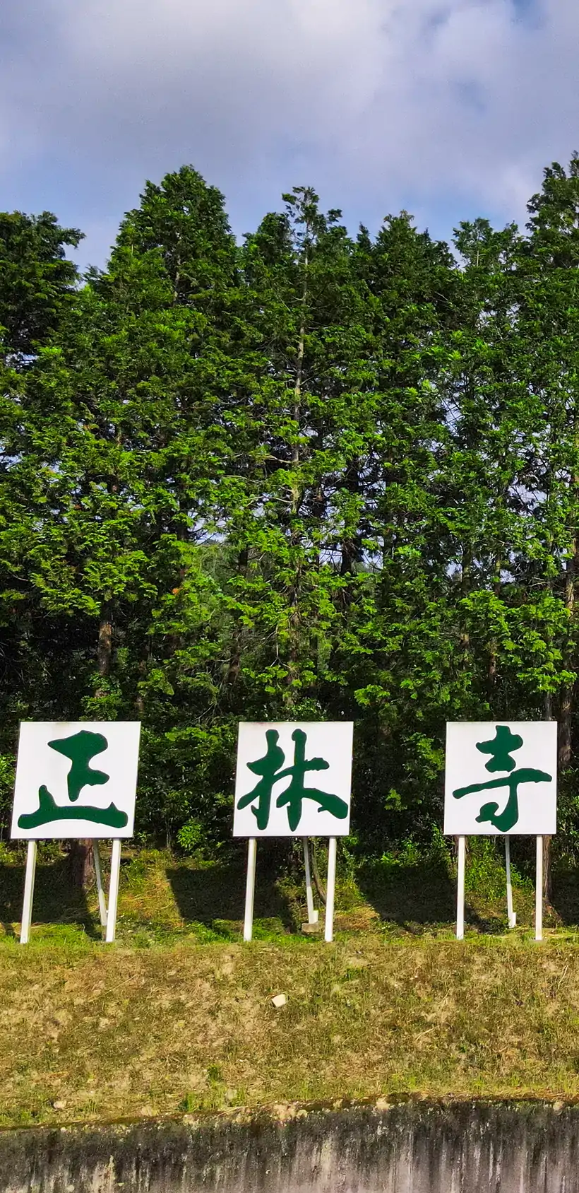 MV画像
