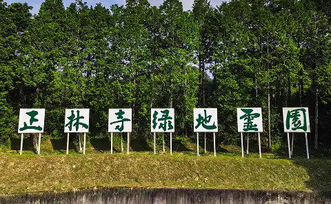scroll用画像