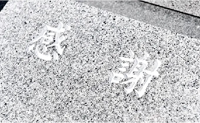 区画紹介