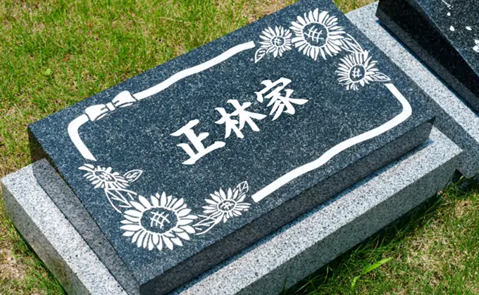 区画紹介