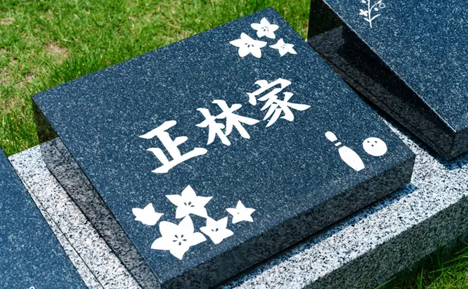 区画紹介
