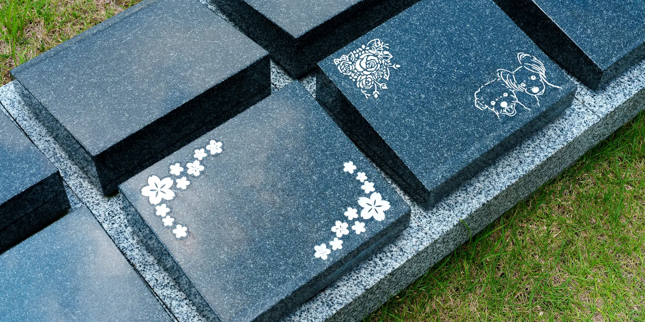 切り替え画像
